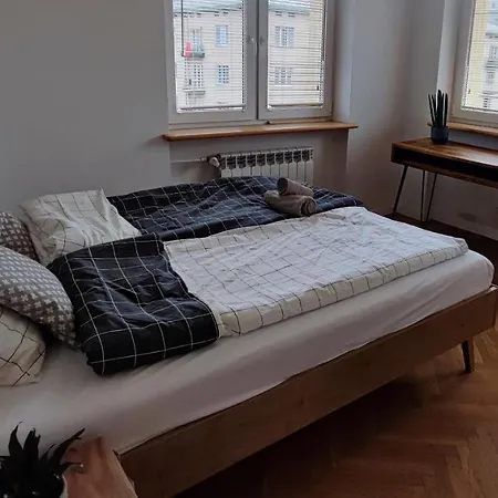Przestronny Apartament W Centrum